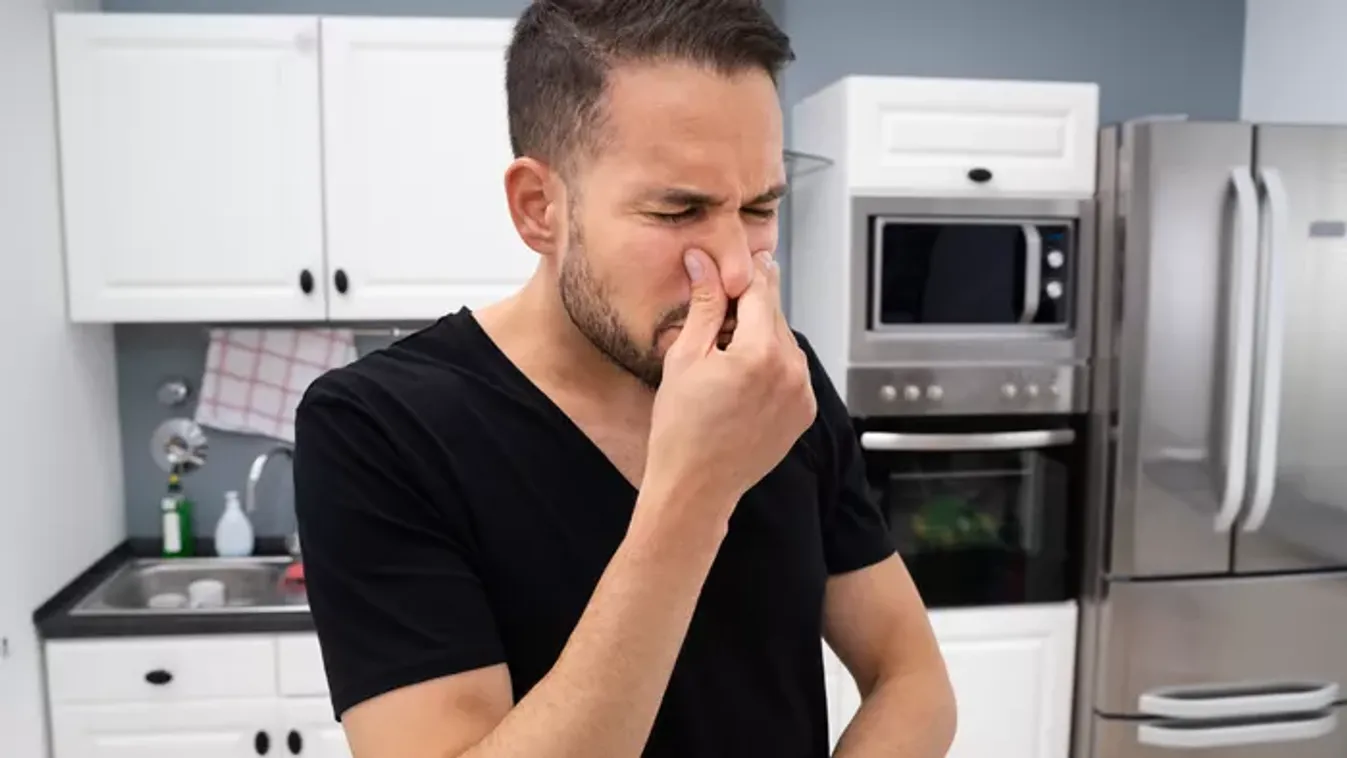 Halszag van a konyhában? Így szabadulhatsz meg tőle percek alatt