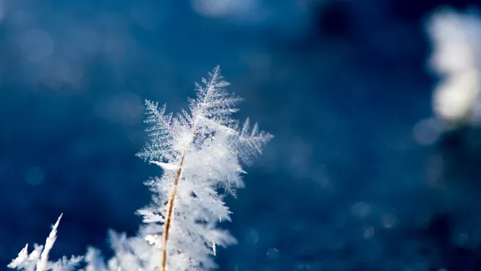 Havazás a sivatagban? Hihetetlen, de igaz!