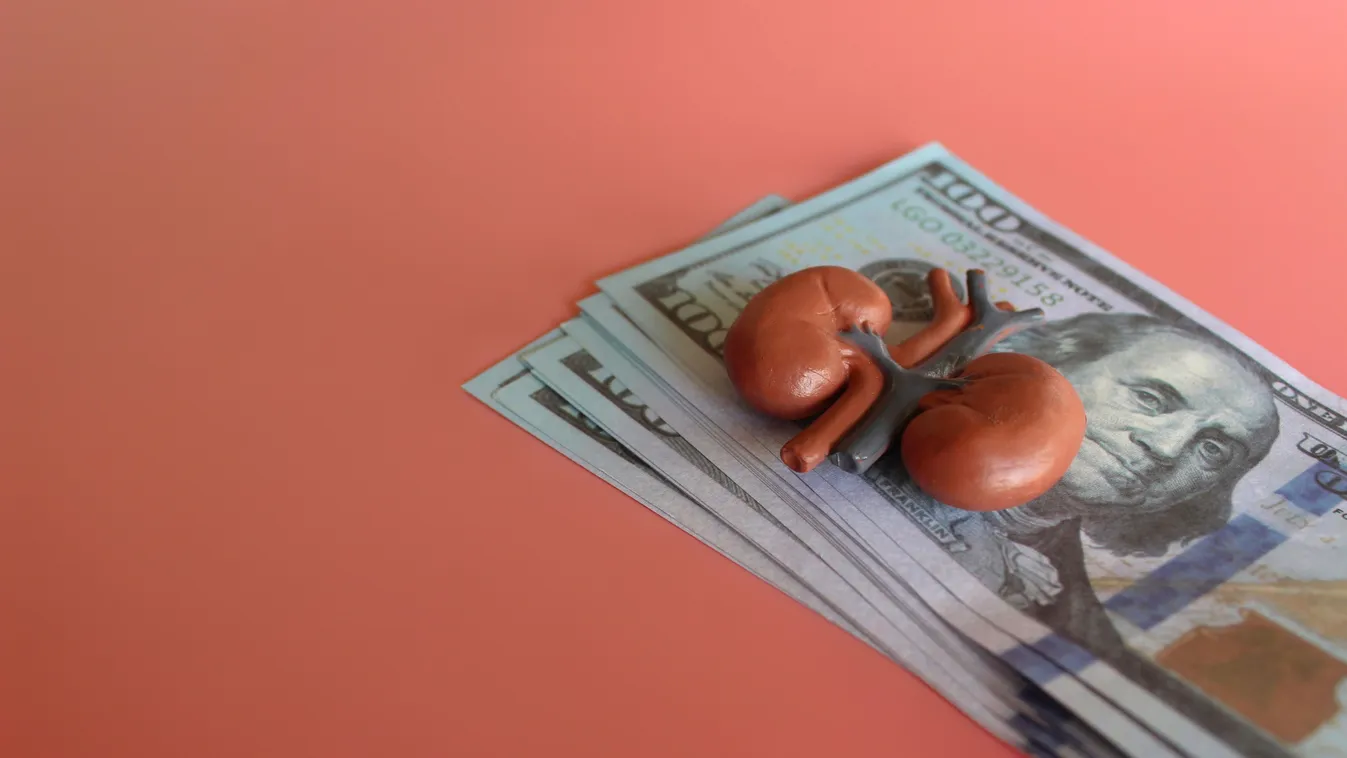 Ennyit kérnek az emberi testrészekért a szervkereskedők