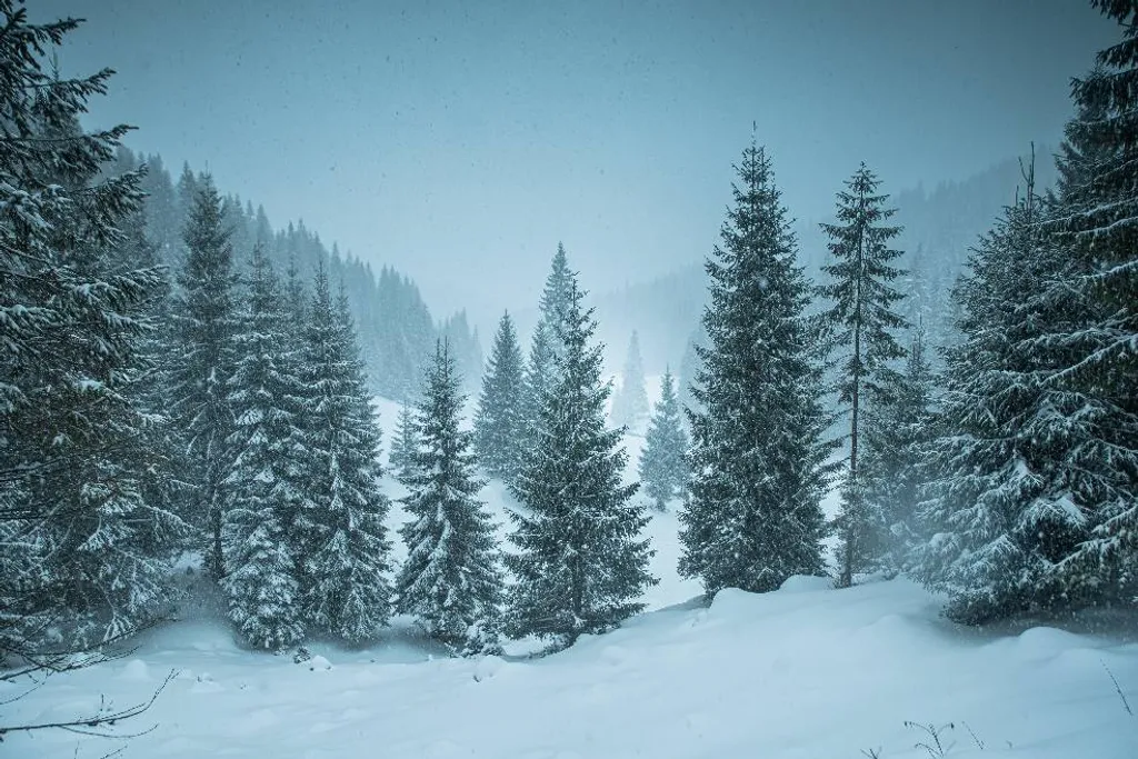 ILLUSZTRÁCIÓNAK NE HASZNÁLD!