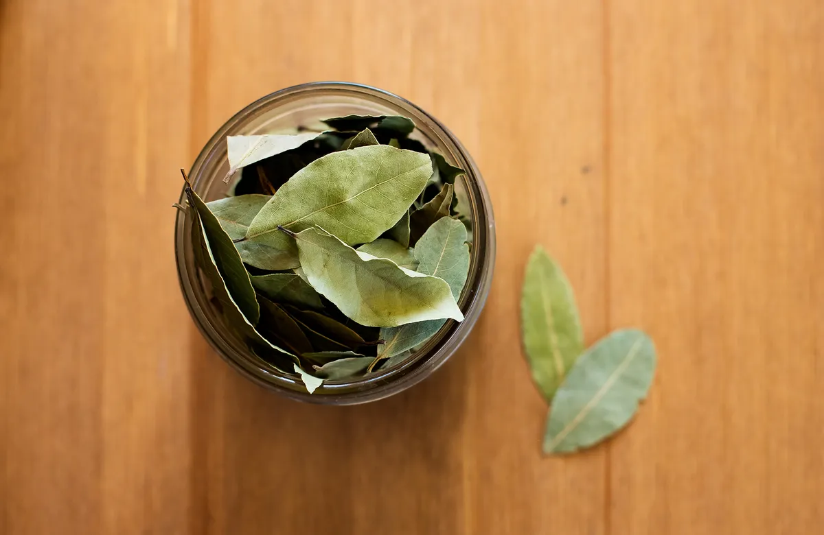 Babérlevelek egy tégelyben.