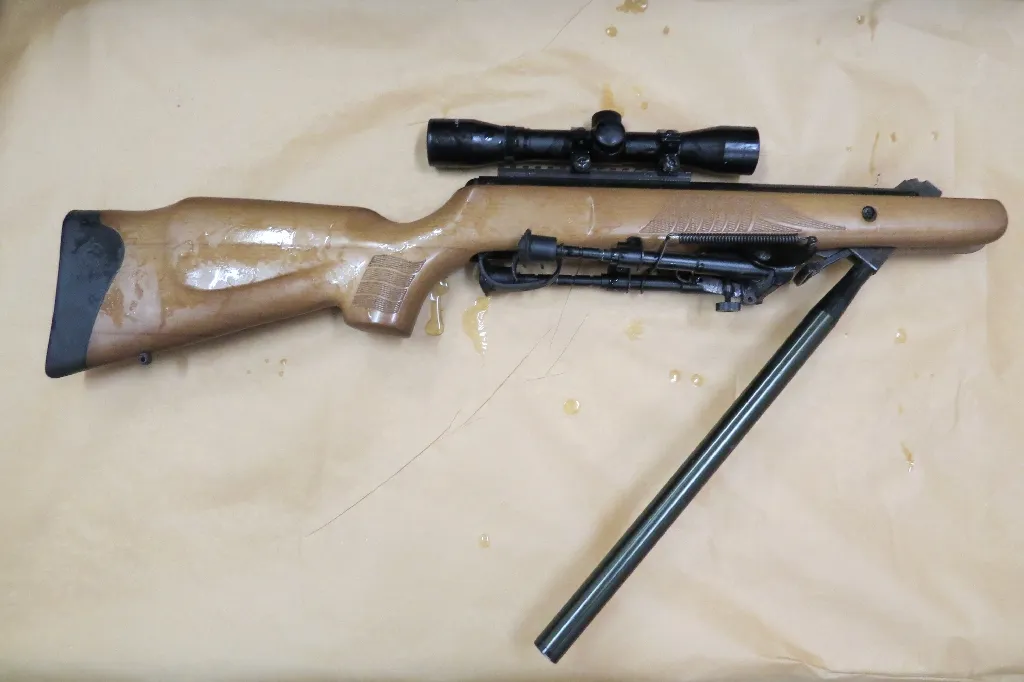 Légfegyverrel fenyegette meg a rendőröket 