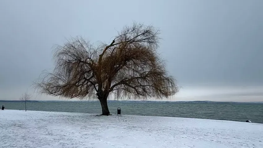 Ilyennek ritkán látni a Balatont – Mesés téli fotókon a magyar tenger