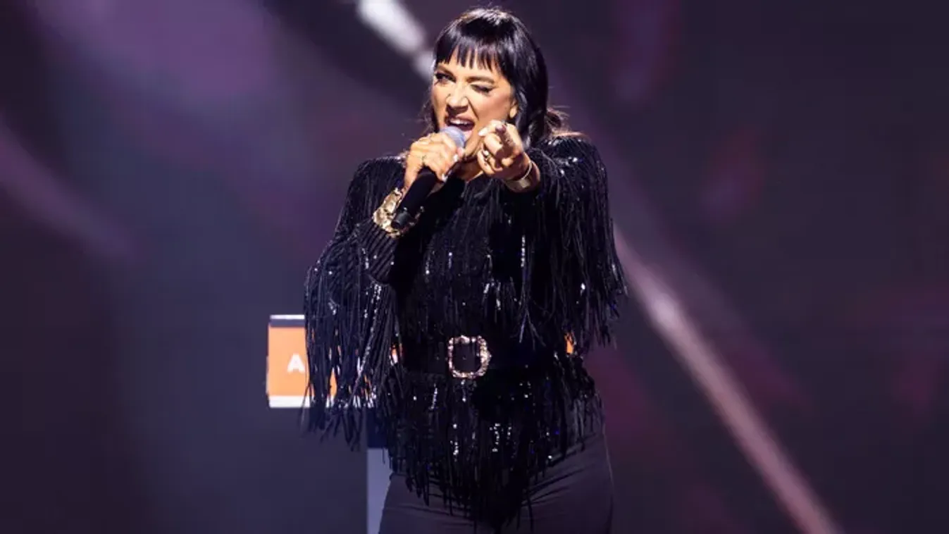 Sztárok a Fidesz-kongresszuson - Ők gondoskodtak a hangulatról