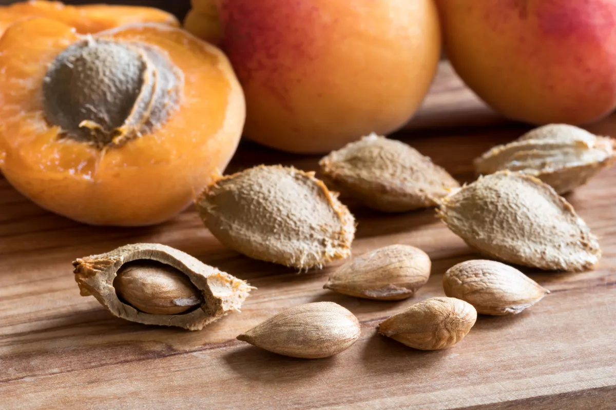 Hunzák étrendjeében fontos a sárgabarack