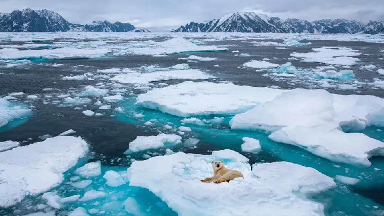 Klímaváltozás rejtett hatásai: ősi mikrobák az olvadó jég alatt – Veszélyek, amikre nem is gondolnál