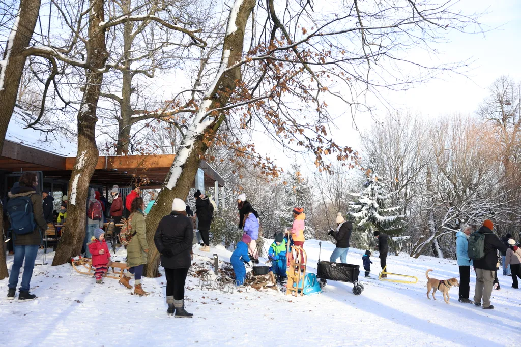 Normafa, hó havazás