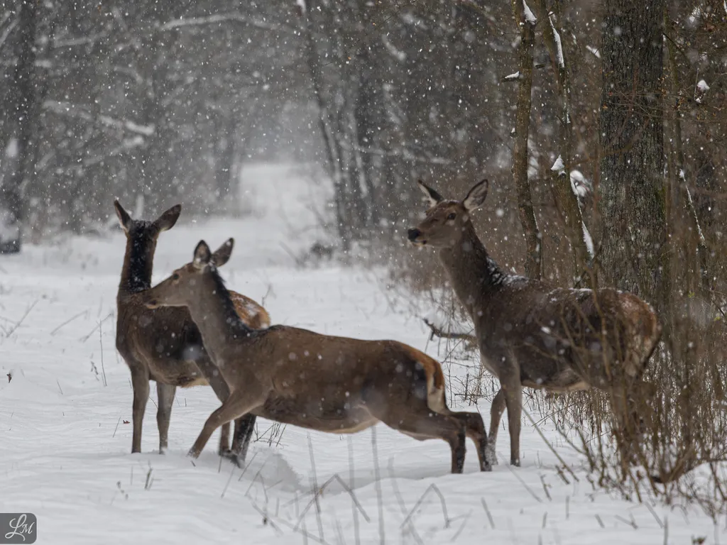 Duna-Dráva Nemzeti Park