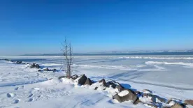 Kilenc év után először fagyott be teljesen a Balaton, de vajon rá lehet menni a jégre?