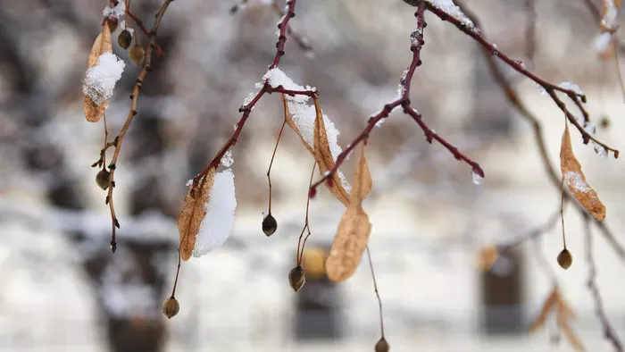 Vége a mínuszoknak? Ilyen időjárásunk lesz