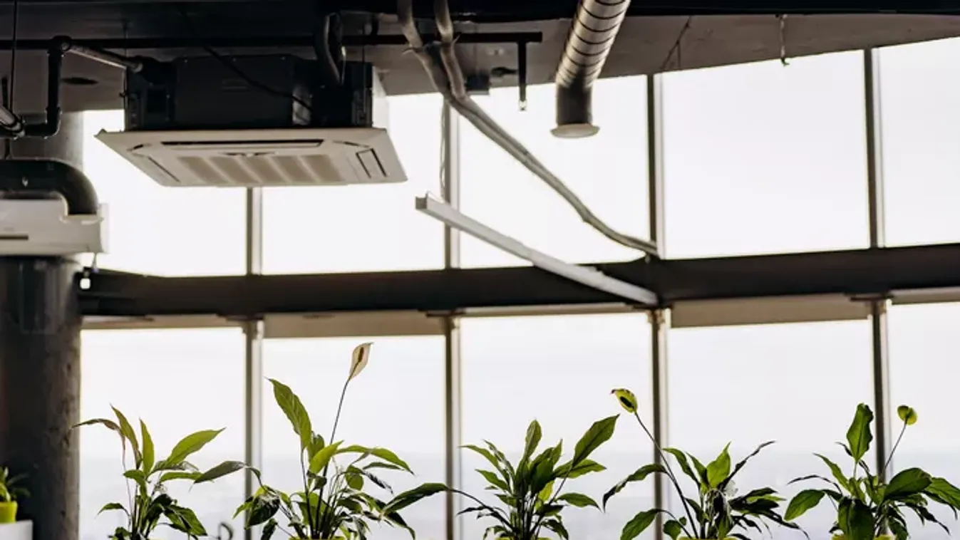 A munkahelyi jóllét a levegő minőségével kezdődik