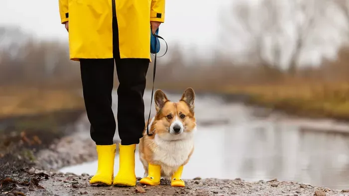 Saras cipő, vizes kabát – így mentsd meg a ruházatod télen