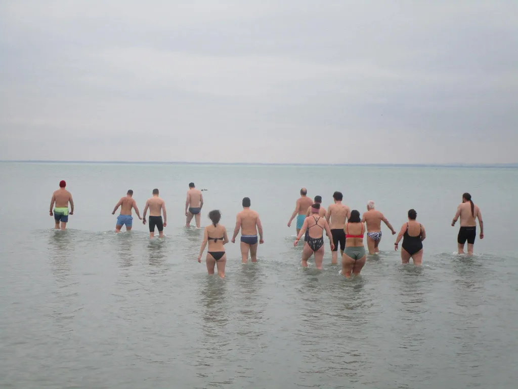 Balatoni Jegesmedvék