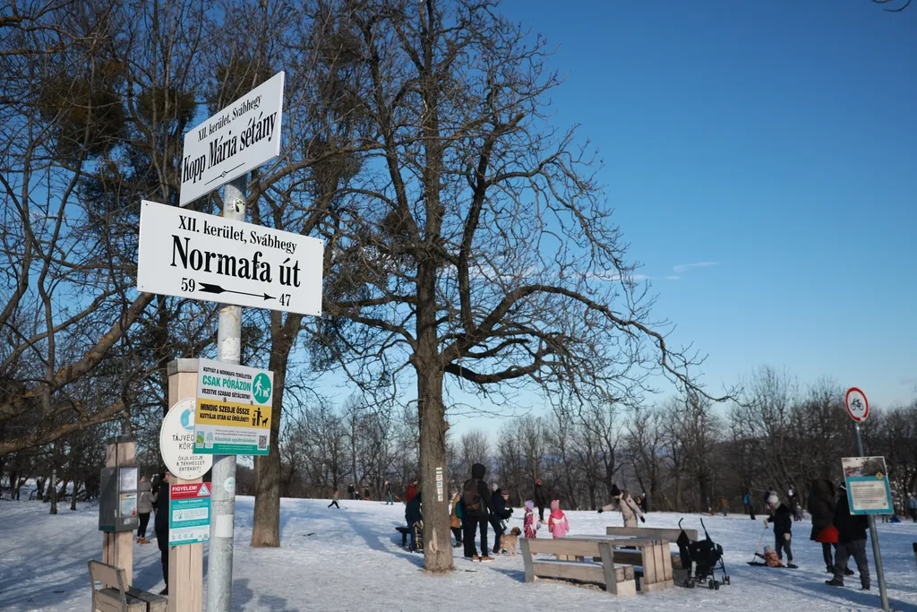 Havas Normafa, Hármashatárhegy 