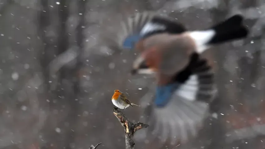 Galéria: Ilyen a tél, ha nem a szobában ülünk!