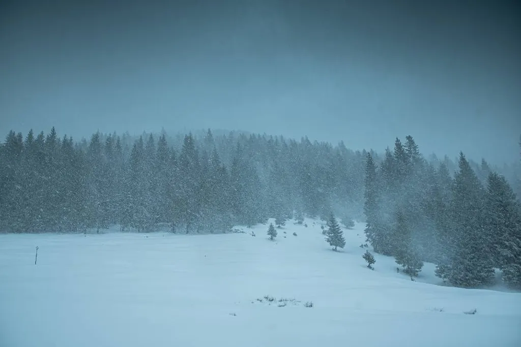 ILLUSZTRÁCIÓNAK NE HASZNÁLD!