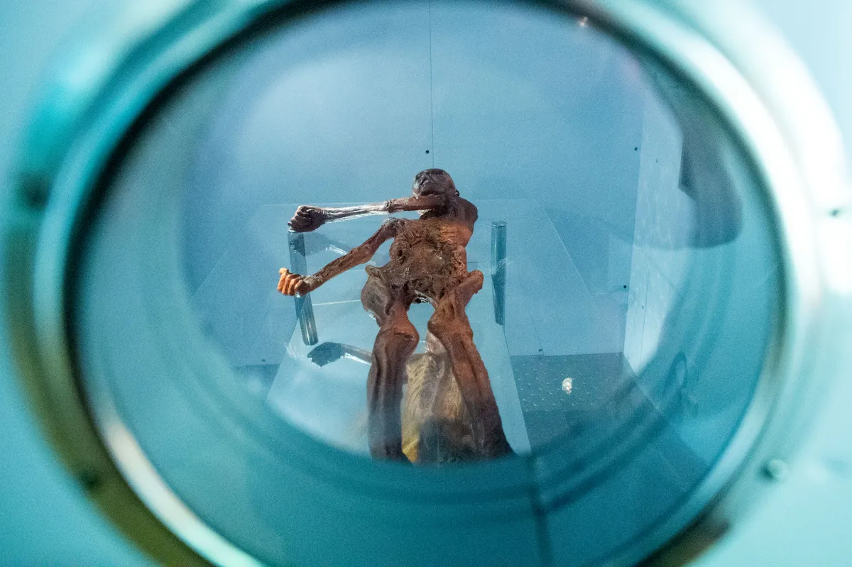 Ötzi, a jégember 