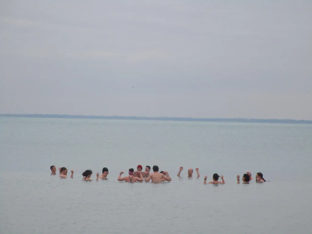 Balatoni Jegesmedvék