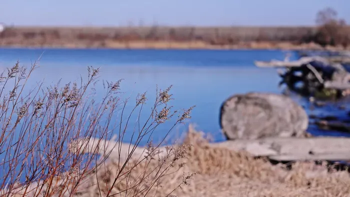 Elbűvölő téli séták a Szigetköz csendes ösvényein