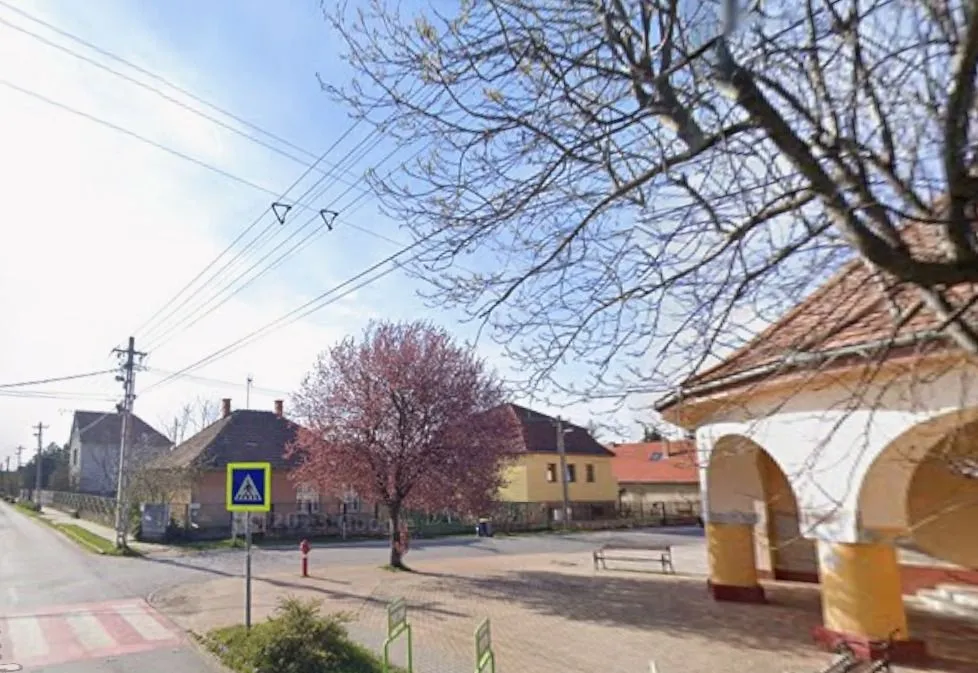 Dominikát a zebrán gázolták el