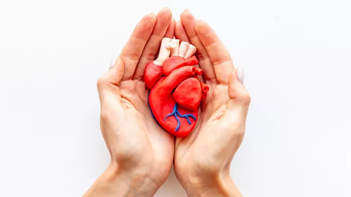 Szívbillentyű csere: az életmentő műtét, amikor a szív már alig bírja