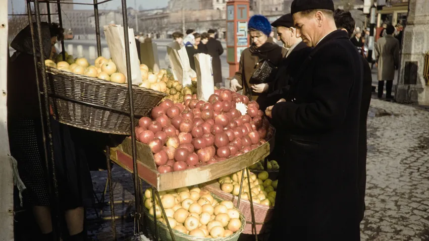Kvíz kérdést ábrázoló kép