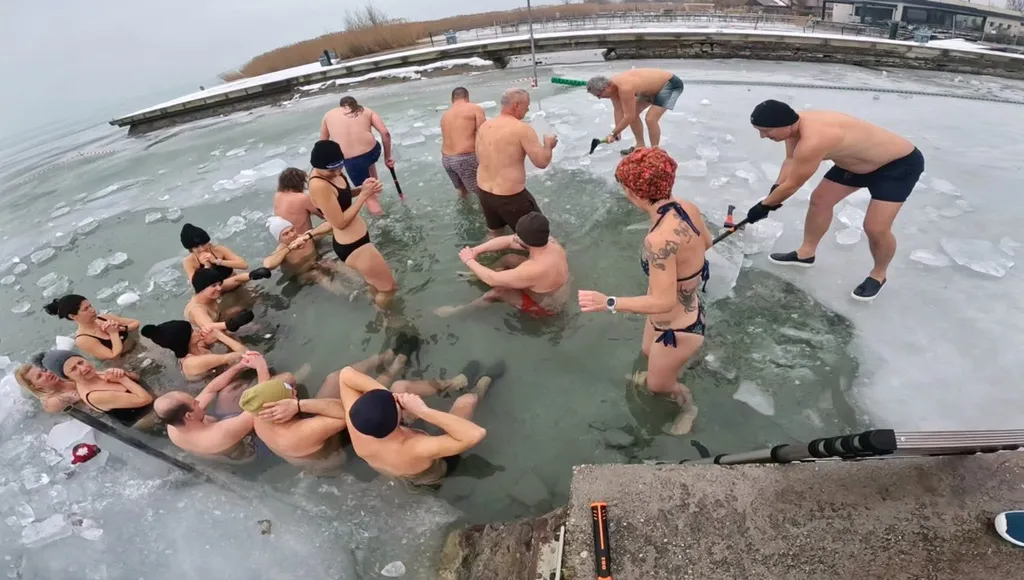 Balatoni Jegesmedvék