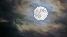 4 csillagjegy szerelmi élete pezsdül fel az Oroszlán teliholdnak hála