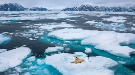 Klímaváltozás rejtett hatásai: ősi mikrobák az olvadó jég alatt – Veszélyek, amikre nem is gondolnál