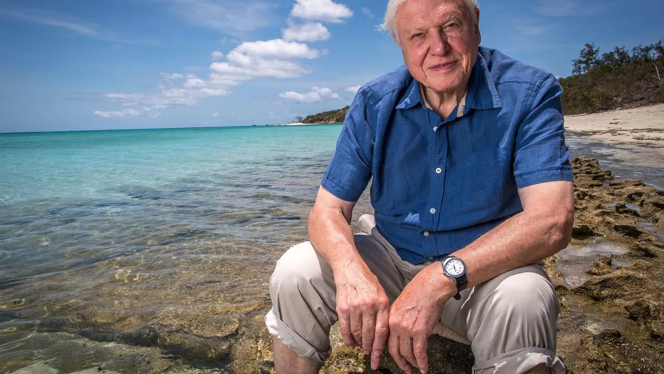 131 éves gyilkossági rejtélynek vetett véget a David Attenborough kertjében talált koponya