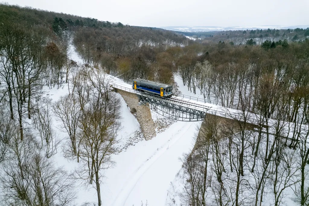 mesés a rideg telet a magyar erdőkben 