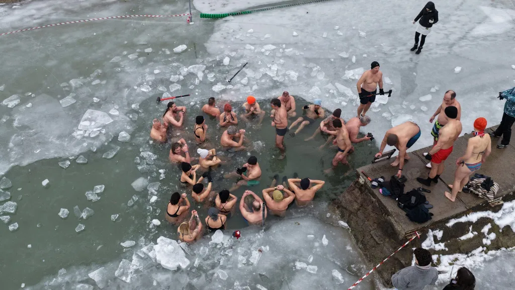 Balatoni Jegesmedvék