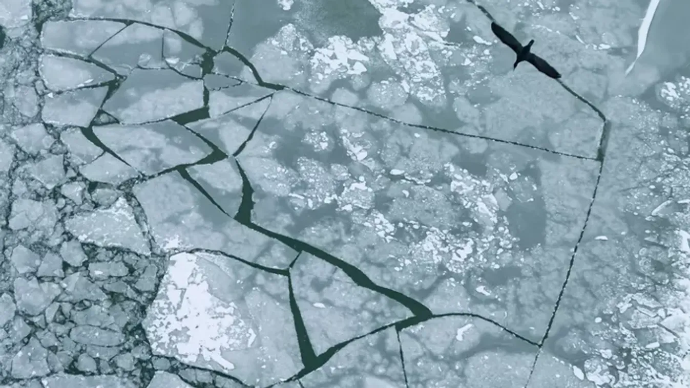 „Végignéztem, ahogy küzdenek” – az anya három fia fulladt meg a jeges tóban