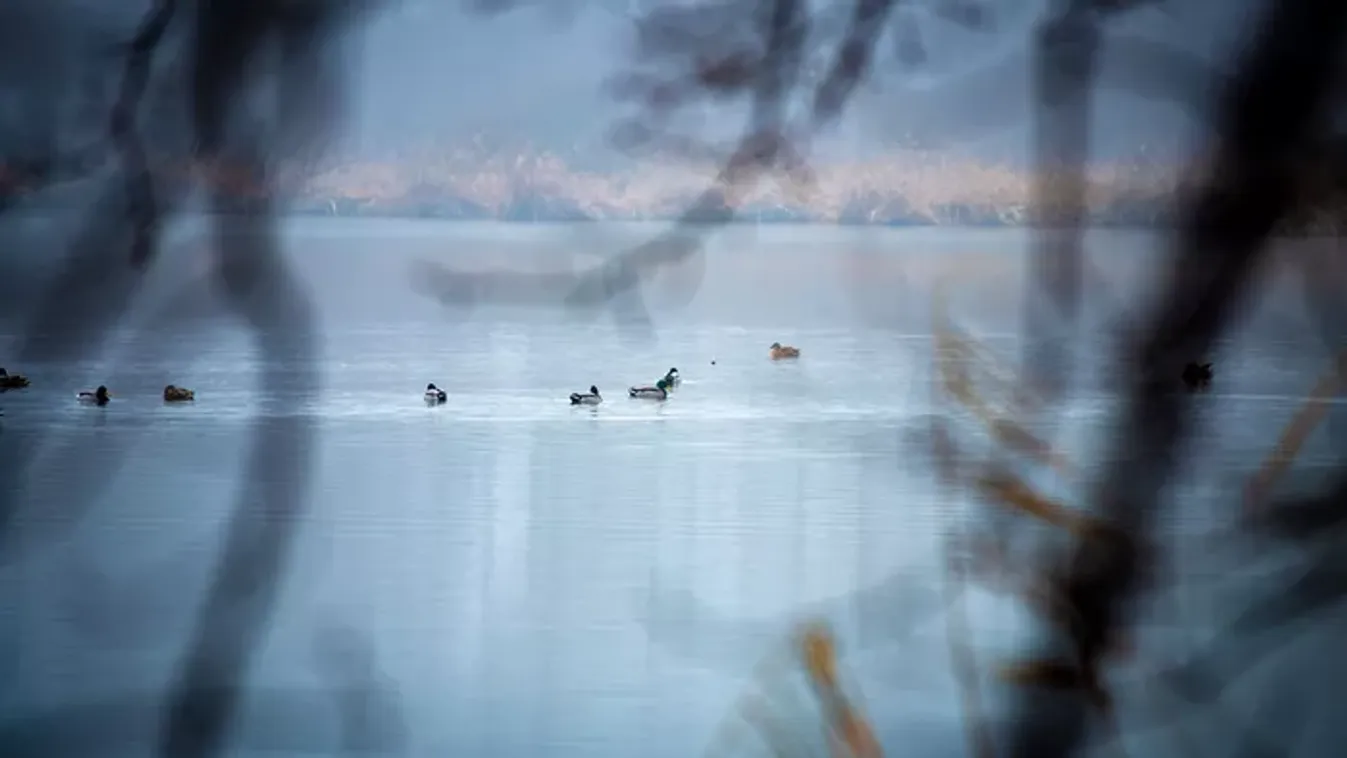 Íme Budapest óriástava télen – Igazi csoda a város szélén egy könnyű kiránduláshoz