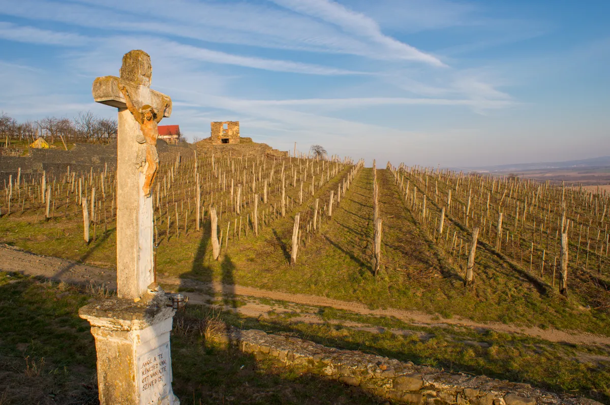 A Tripadvisor szerinti 5 legjobb magyar szálloda egyike Tokajban található, ahol szőlőültetvények és régi útmenti keresztek gazdagítják a panorámát.