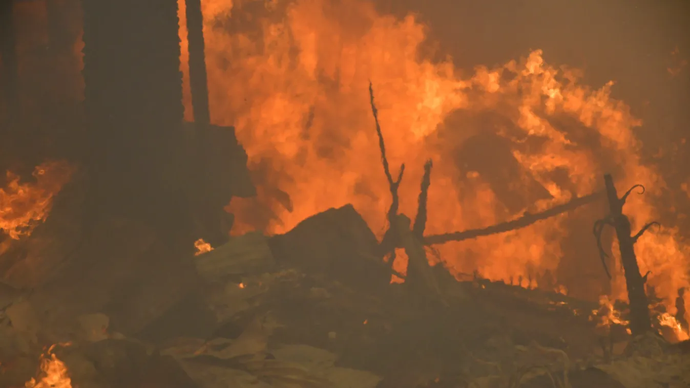 Chile, erdőtűz, tűz, 2026. január