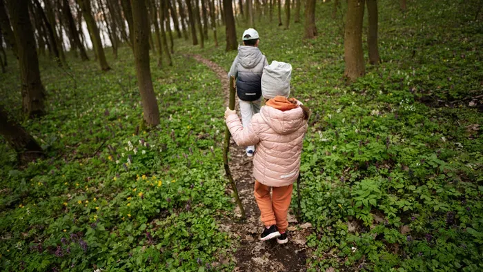 Tanösvény télen: 5 szép útvonal Budapest környékén