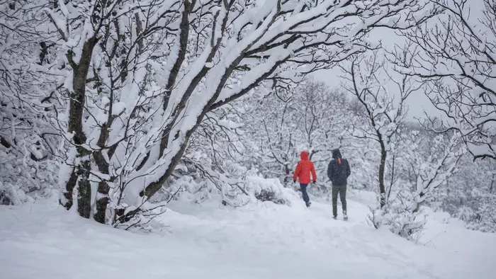 Különleges képeken a friss havazás Magyarországon