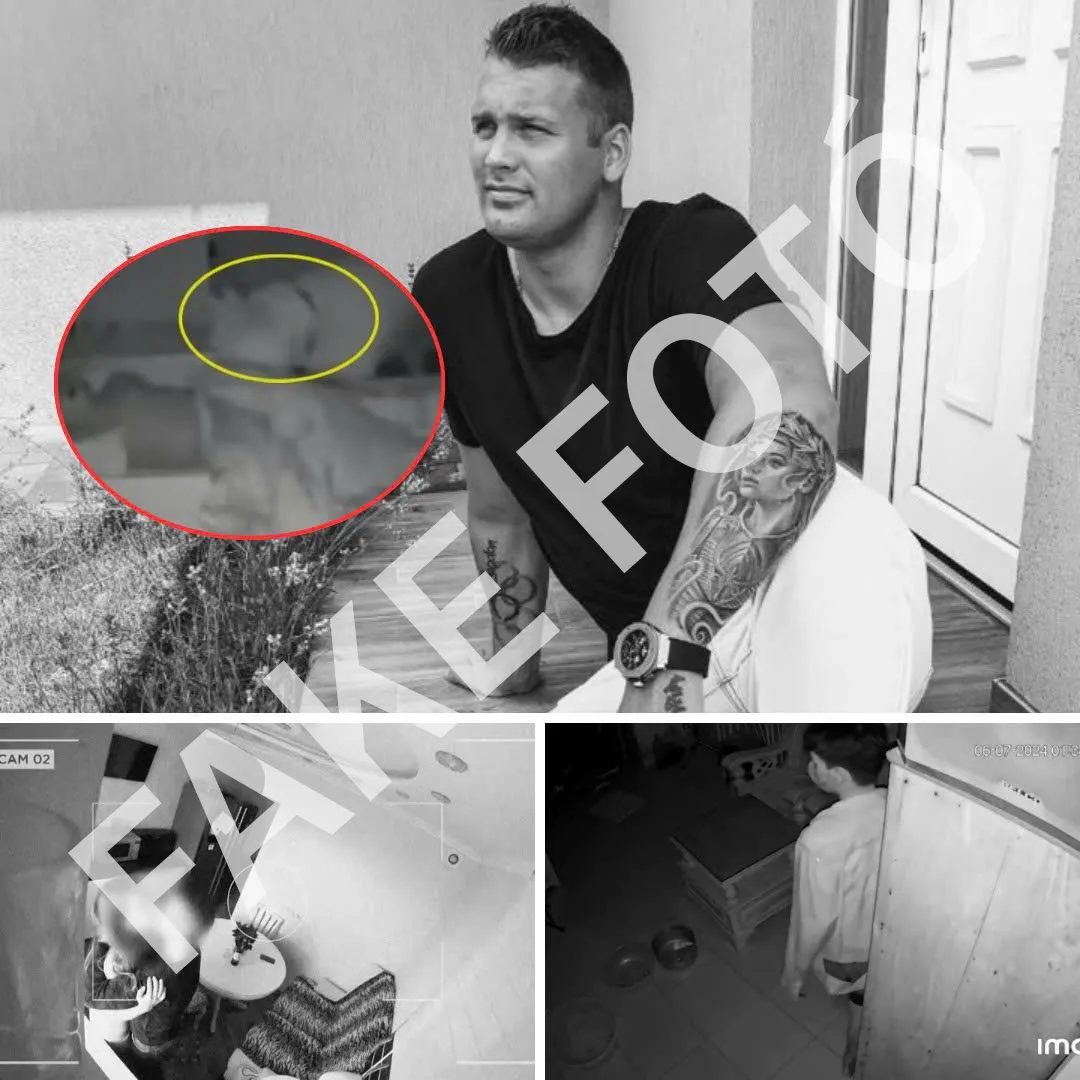 A bal alsó sarokban mintha egy verekedést lehetne felfedezni a kamerafelvételen, amely fotó természetesen szintén hamis.