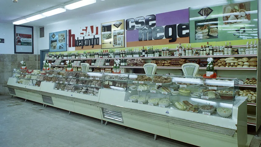 Kvíz kérdést ábrázoló kép