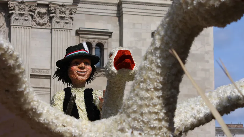 Kvíz kérdést ábrázoló kép