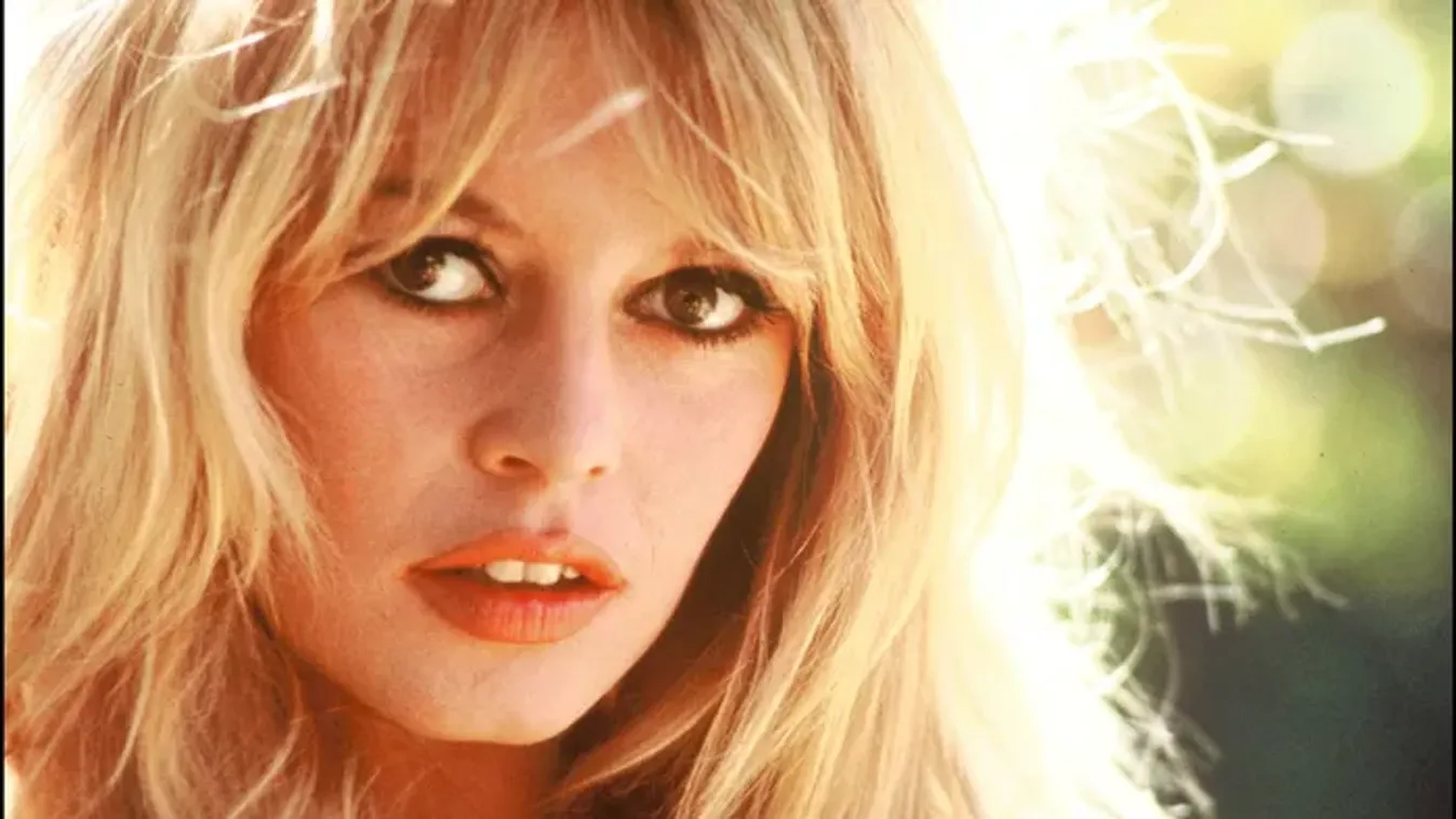 Retró kvíz: mennyire ismerted Brigitte Bardot, a francia filmsztár életét?