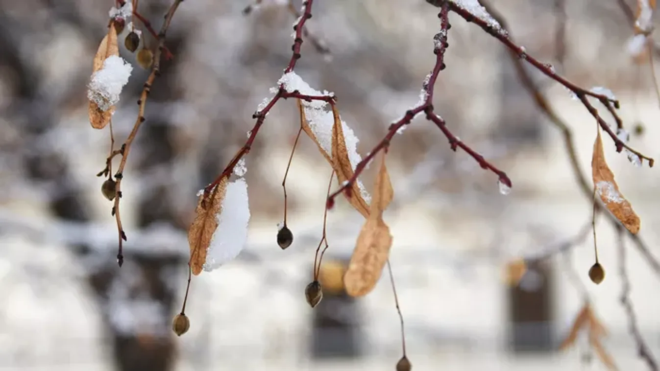 Megszabadulunk végre a mínusz fokoktól? Ilyen időjárásra lehet számítani