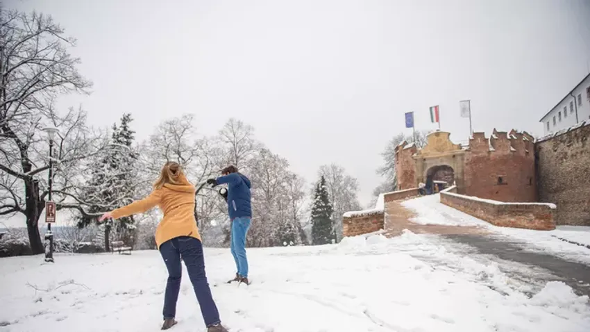 A tél csodája: hóval öltözött fák, háztetők és utcák
