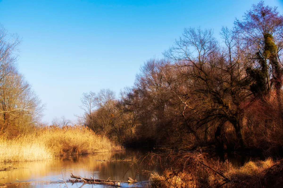 A Szigetköz télen, amikor a Duna ártere csedes arcát muatja.