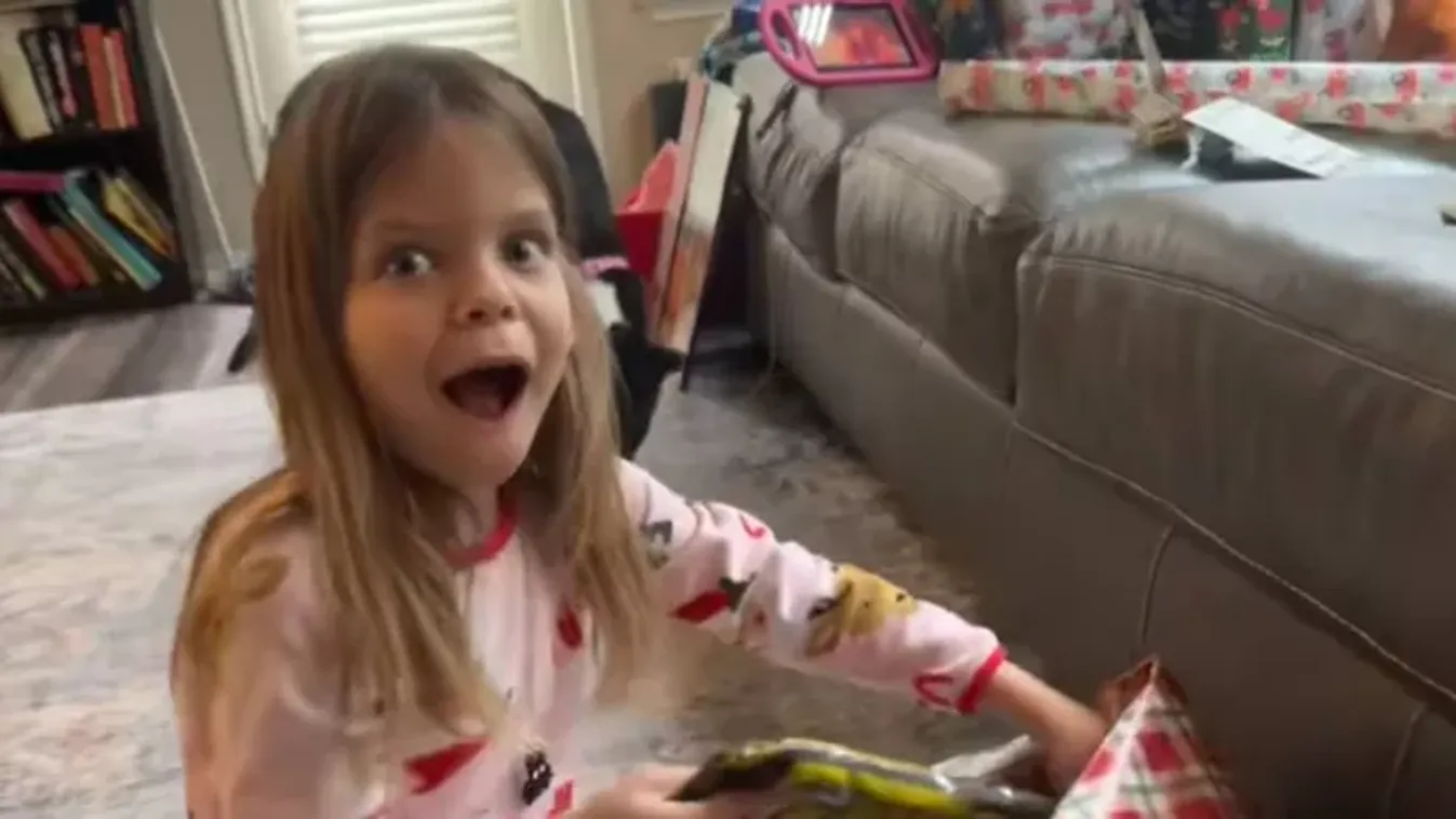 Más a félelemtől sikítana, ez a kislány az örömtől tette: durva, mit kapott karácsonyra