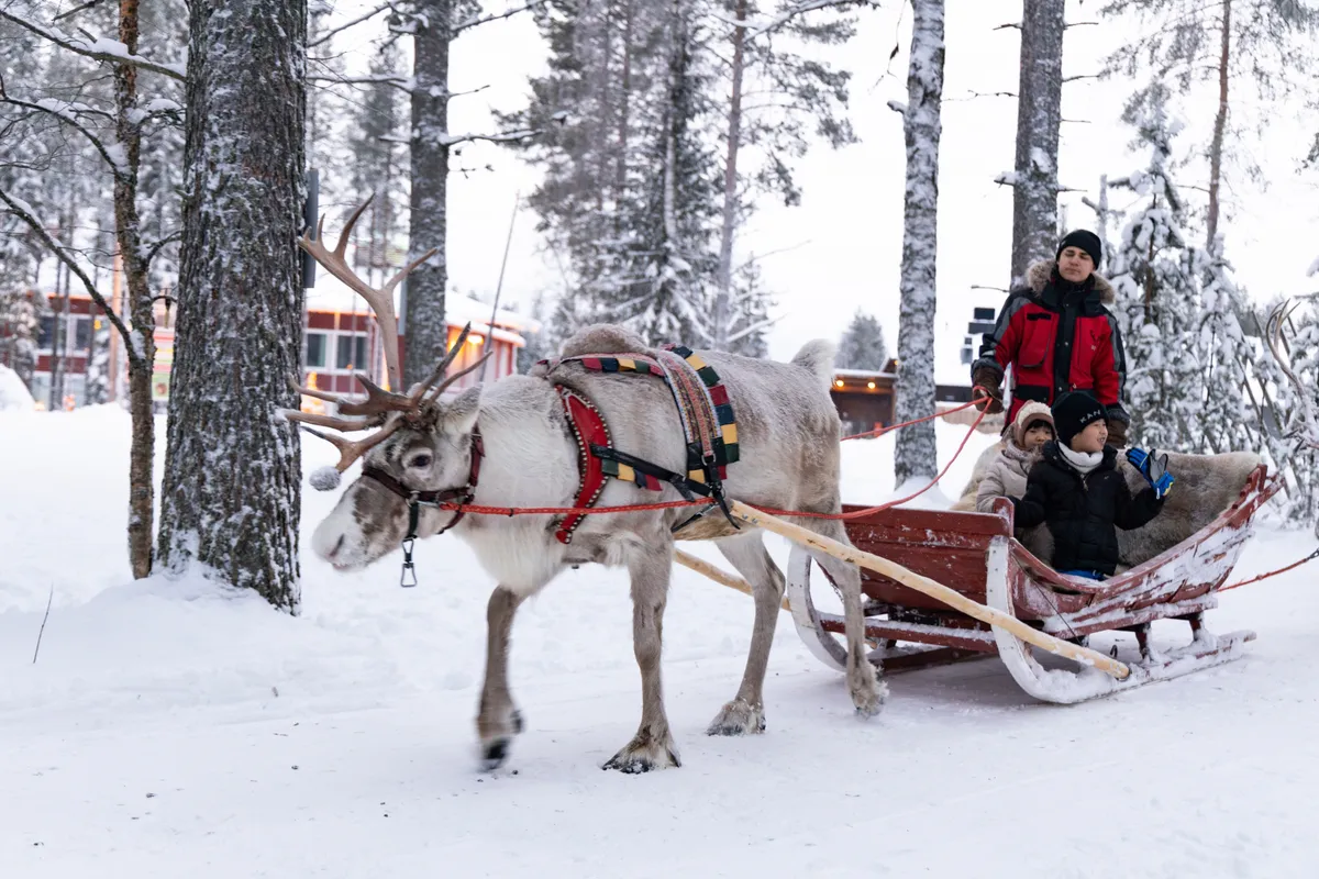 rénszarvas szán kisgyerekekkel egy havas, téli környezetben.