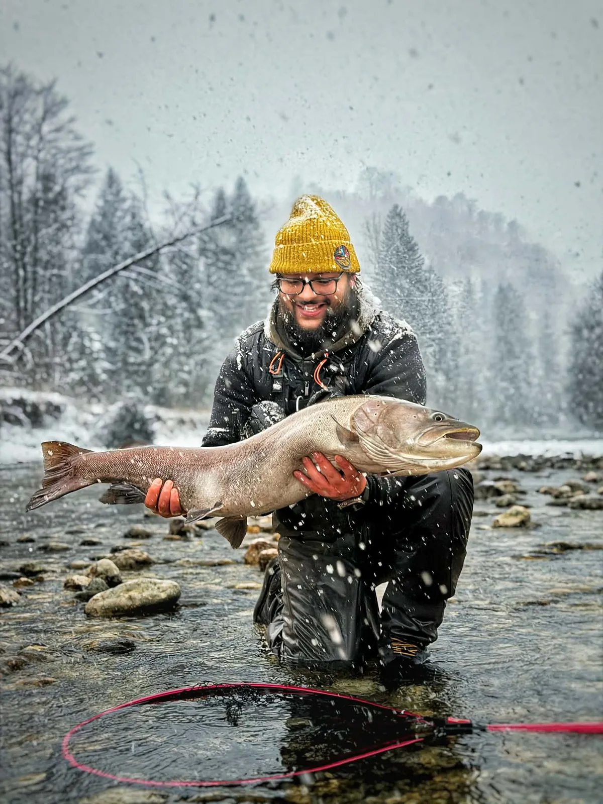Ezt a csodálatos, 103 centis dunai galócát fogta Szlovéniában Vogel Márton
