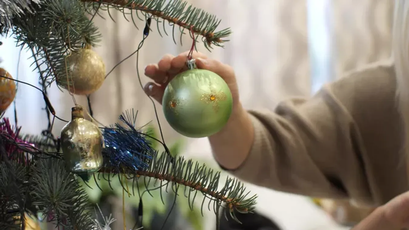 Karácsonyfa lebontása hulló tűlevelek nélkül? Lehetséges, mutatjuk, hogyan