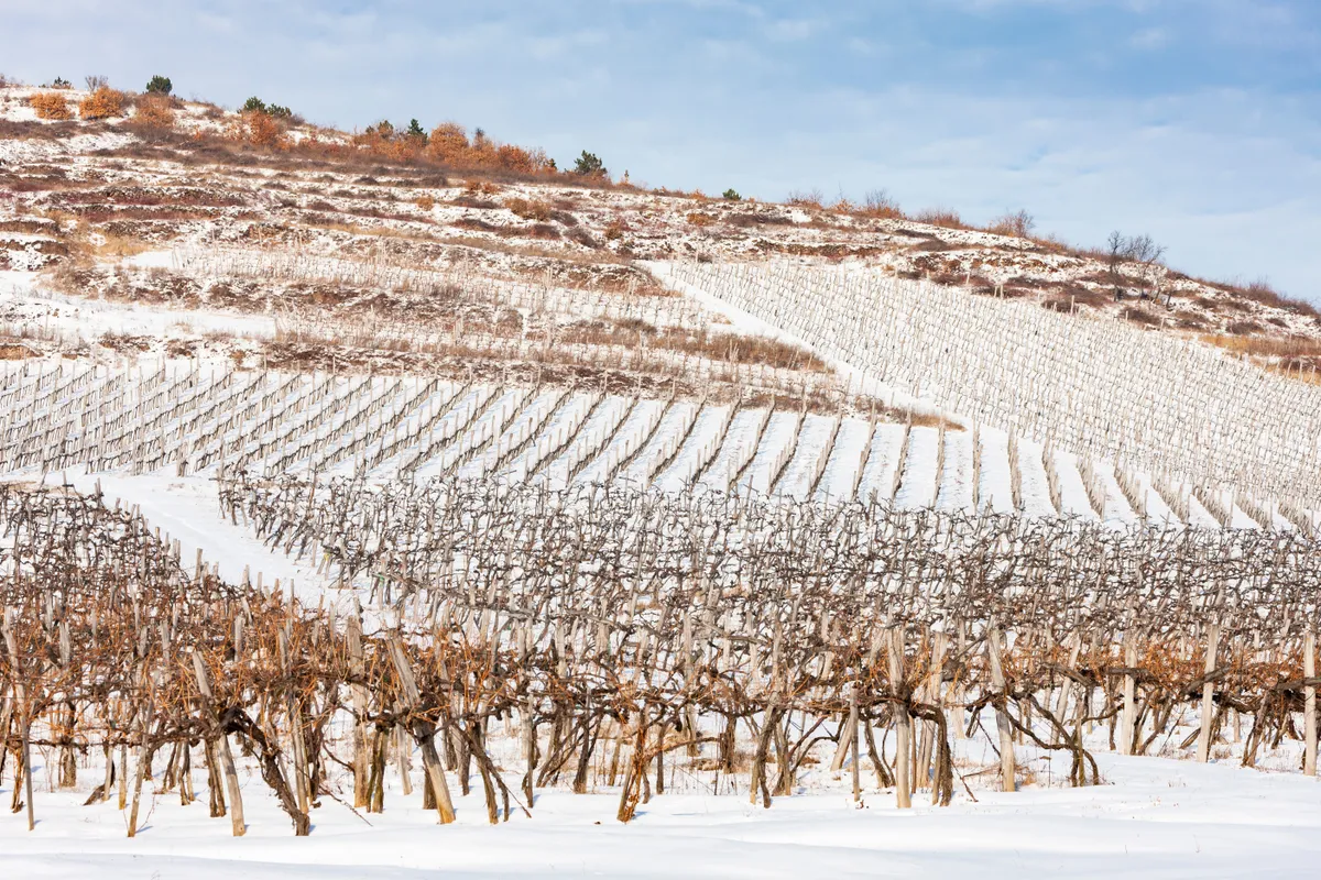Toka, mint a Tisza látnivalója.